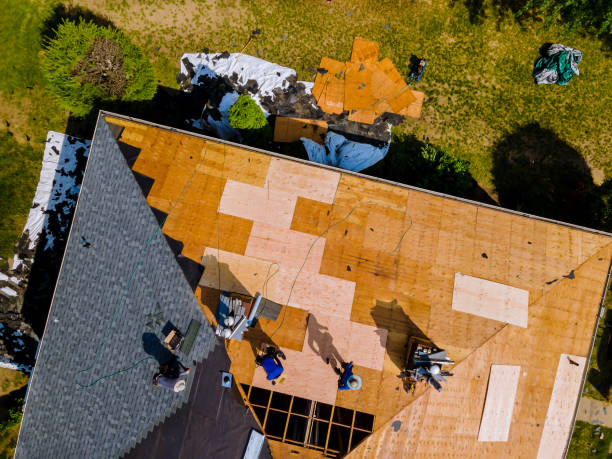 Best Storm Damage Roof Repair  in Marshall, MO