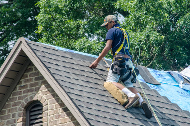 Best Roof Leak Repair  in Marshall, MO